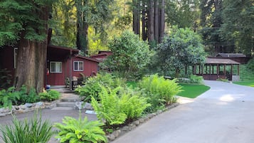 Escape to a serene forest retreat with a cozy cabin, porch, and gazebo, surrounded by lush vegetation.
