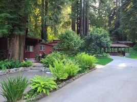 Classic Studio Suite, Kitchenette, Garden View (Cottage 15) | Individually decorated, individually furnished, blackout drapes