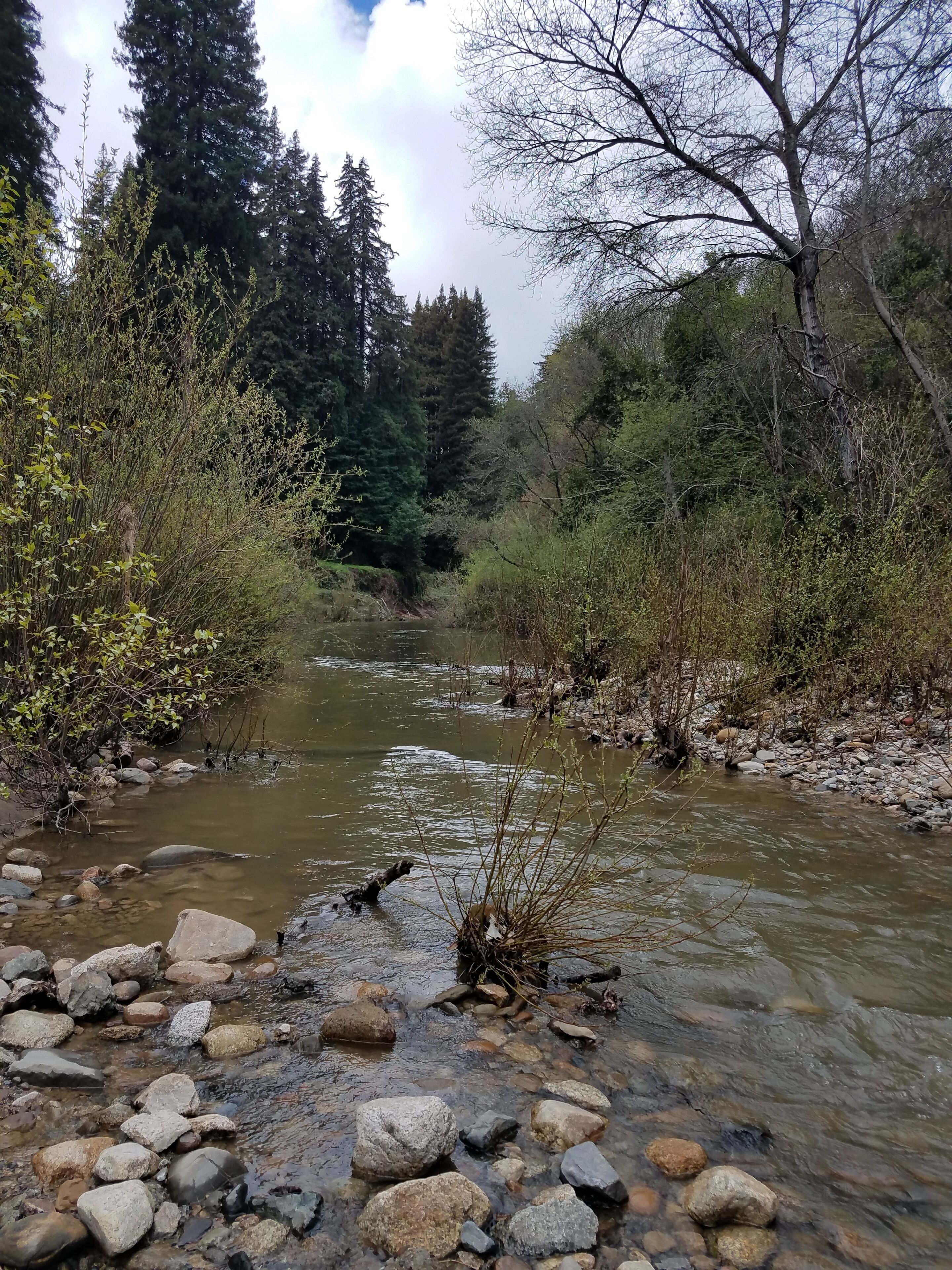 Une rivière qui traverse une zone boisée, avec des rochers et des arbres.