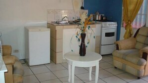 Een kleine leefruimte met een kitchenette, een eethoek en een slaapbank.