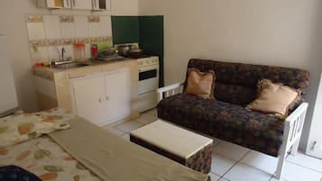 Departamento, 1 habitación | Área de sala de estar | Televisión
