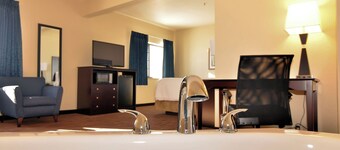 鵝卵石套房飯店 - 霍爾斯坦