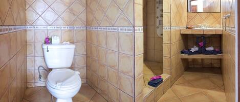 A bathroom with a toilet, shower, and sink.