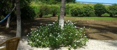 Una zona giardino con una sedia in vimini, palme e un'aiuola fiorita.