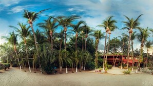 A beachside resort with palm trees, a building with a red roof, and a sandy path leading to the entrance. - Laguna del Cocodrilo (Tamarindo)