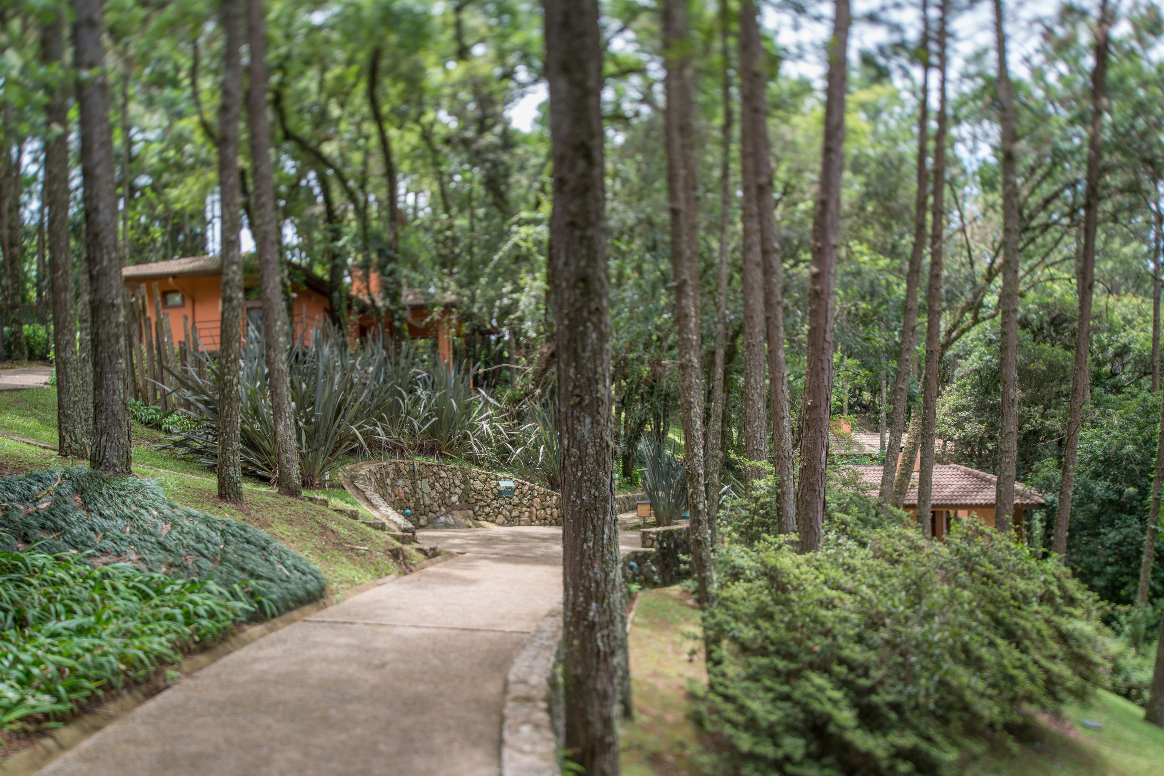 Foto - Kuriuwa Hotel