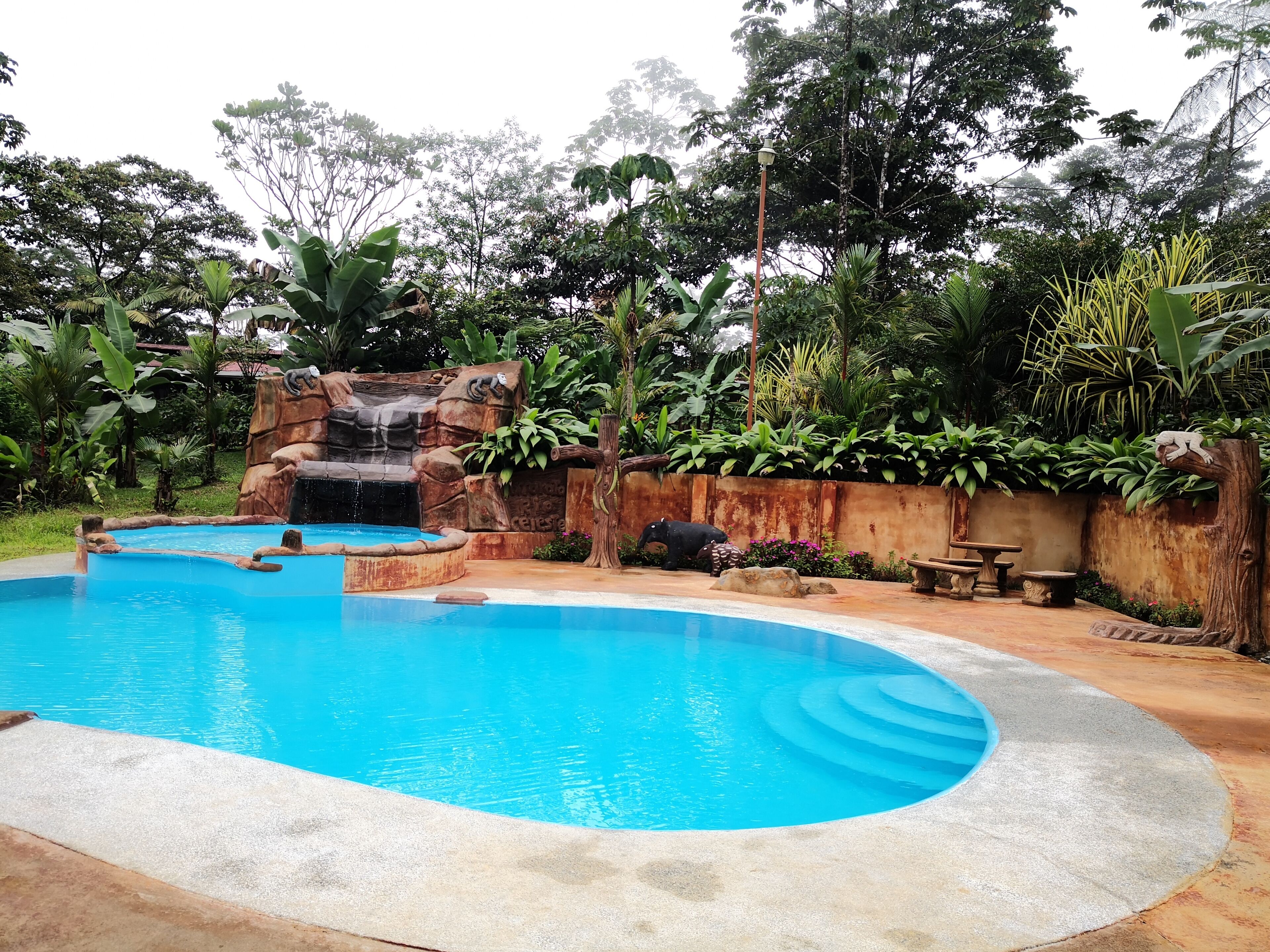 A swimming pool with a waterfall feature, surrounded by lush greenery and a rustic stone wall.