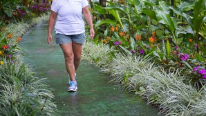 A woman walking on a pathway surrounded by lush greenery and flowers. - Hotel Catarata Río Celeste (Katira)