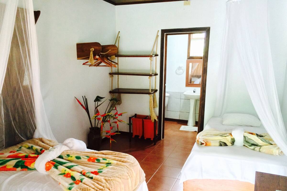 A room with two beds, a shelf with hanging items, a potted plant, and a bathroom visible through an open door.