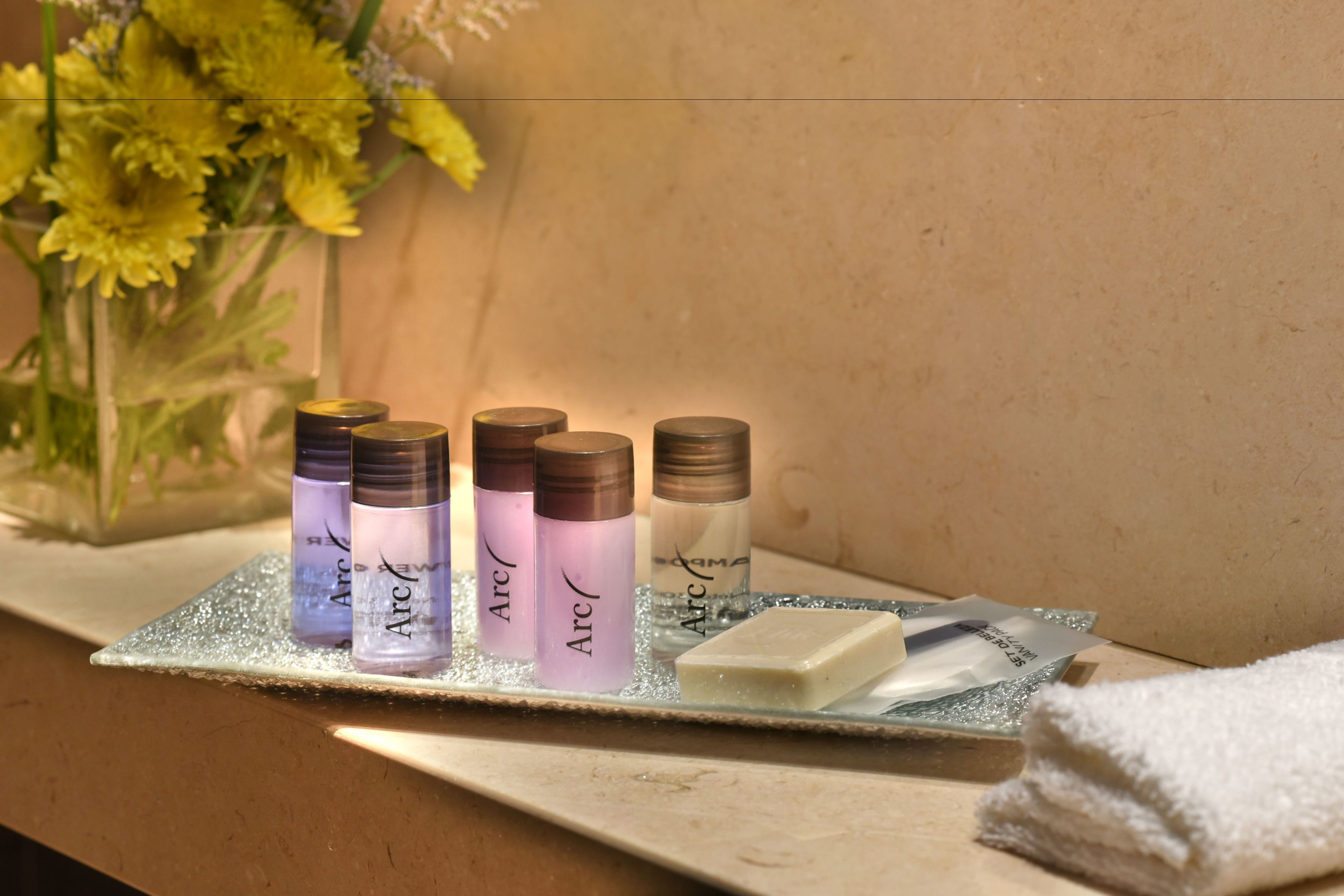 shower, free toiletries, hair dryer, bidet