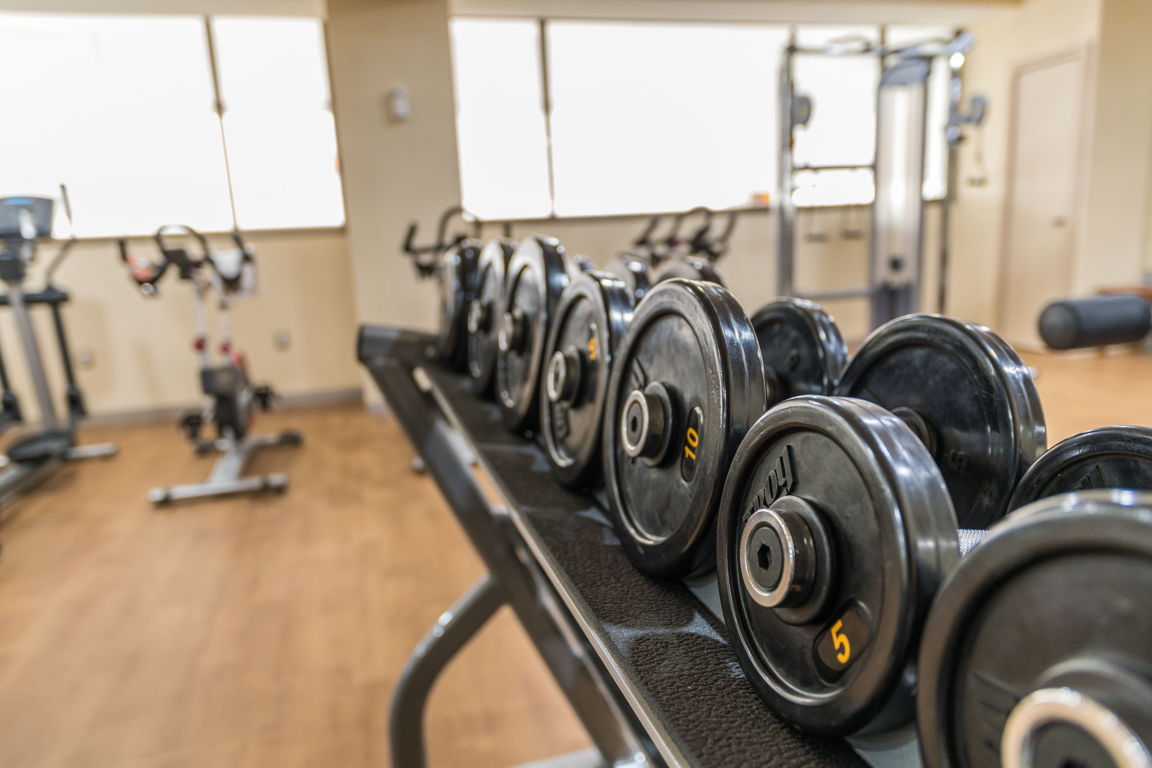 Une rangée de disques de poids sur un support dans une salle de sport.