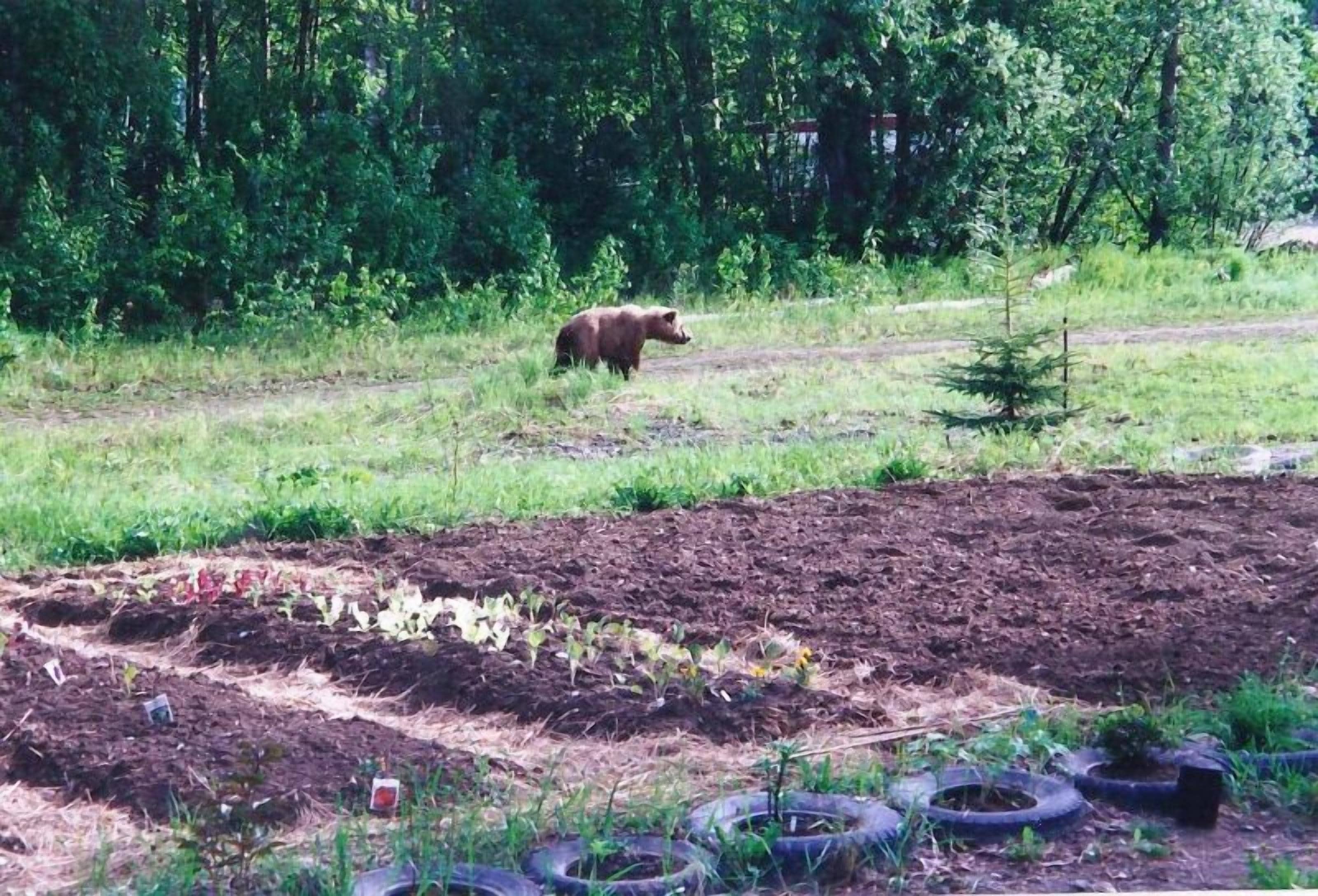Jardín