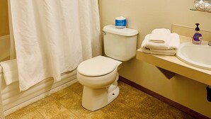 A bathroom with a toilet, a sink, a mirror, and a shower curtain.