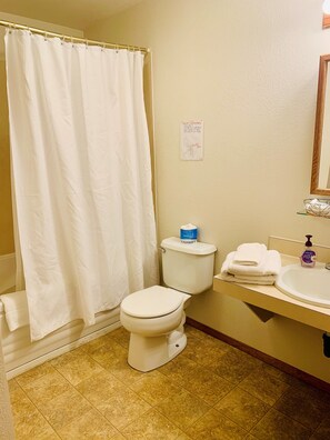 A bathroom with a toilet, a sink, a mirror, and a shower curtain.