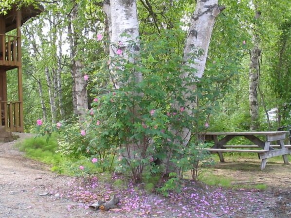 A wooden structure with a bench, surrounded by trees and blooming flowers.