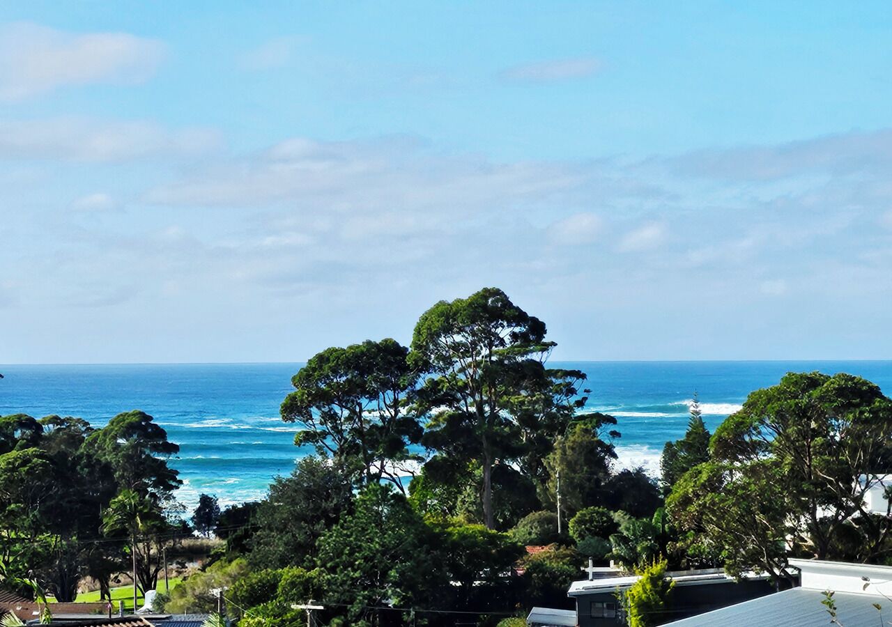A coastal view with a large tree in the foreground, a clear sky, and the ocean in the background.