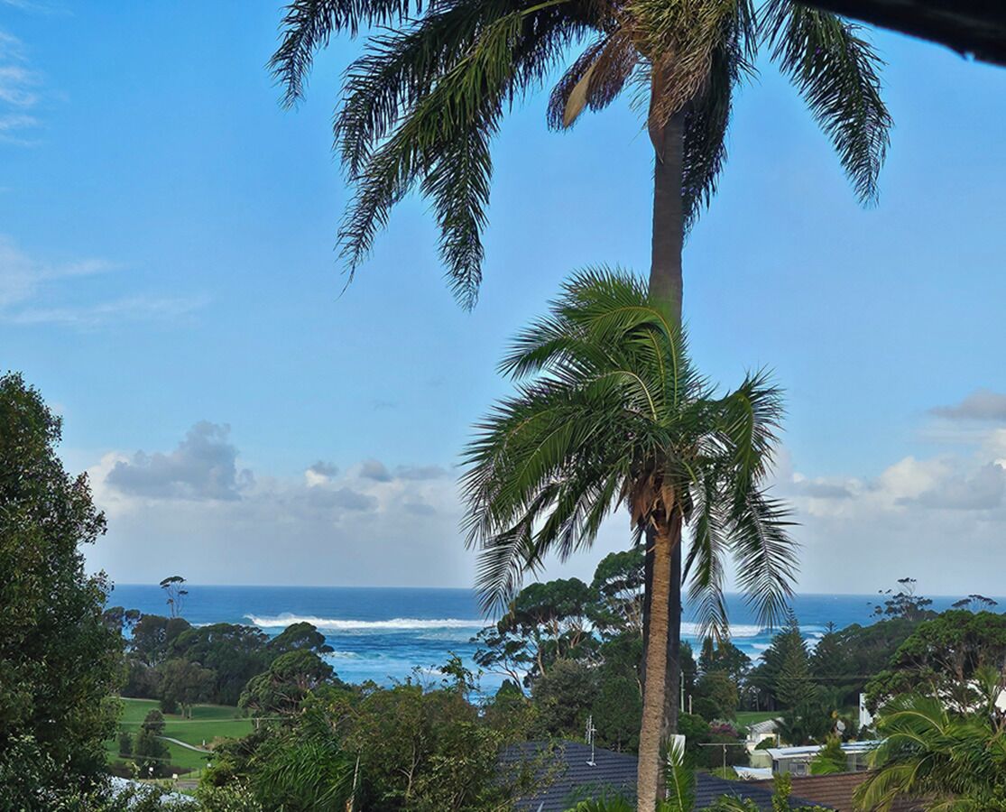 A coastal landscape with a prominent palm tree, ocean view, and lush greenery.