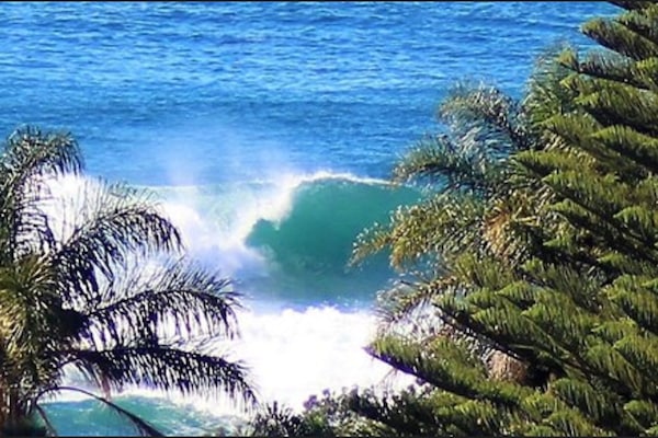 Vista desde la propiedad
