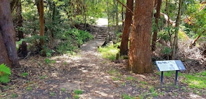 Walk through the forest along a well-trodden pathway surrounded by trees and foliage.