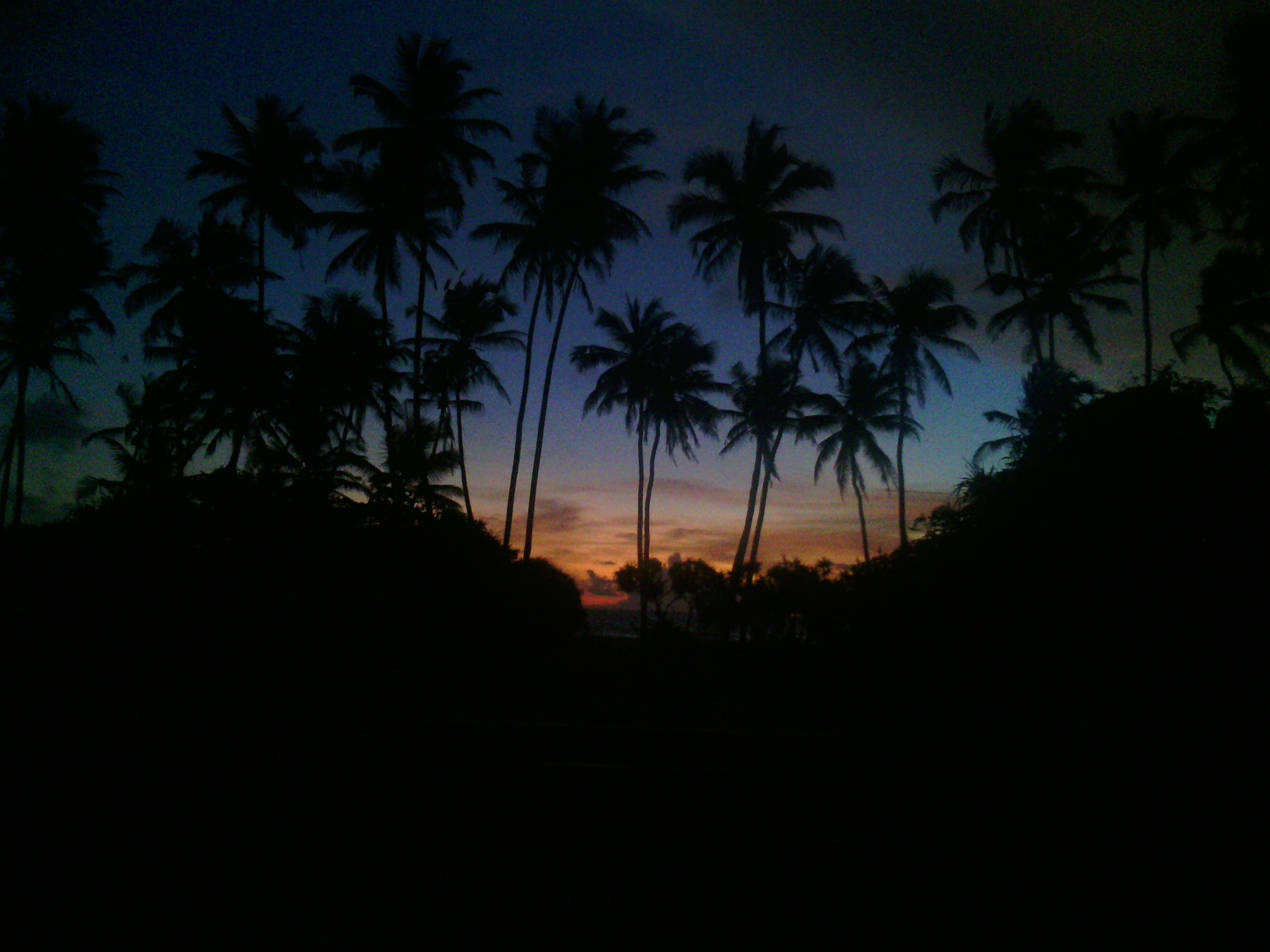 Photo - Ocean View