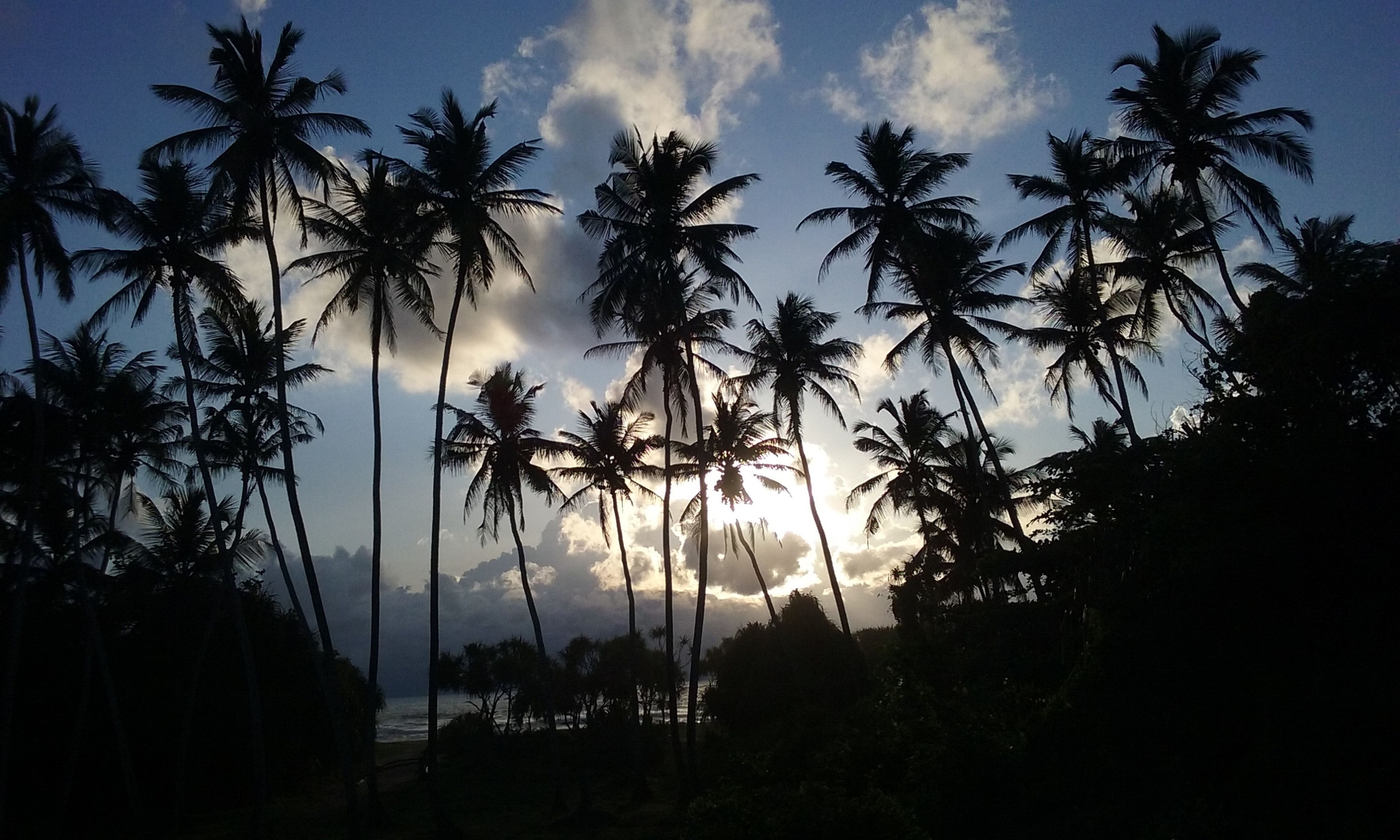 Photo - Ocean View