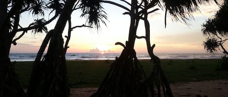 Plage, plongée sous-marine