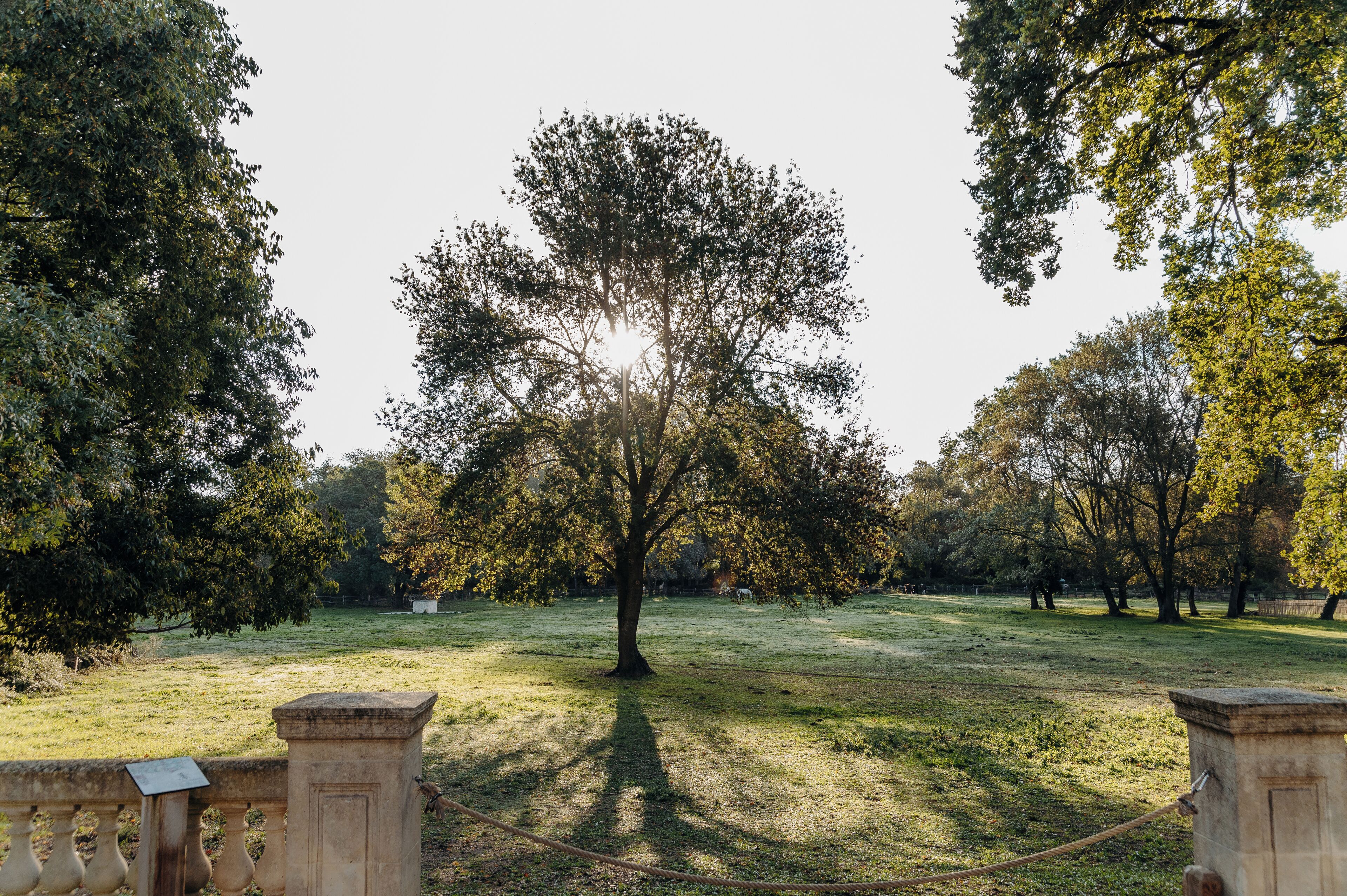 Foto - Hôtel Domaine de Biar