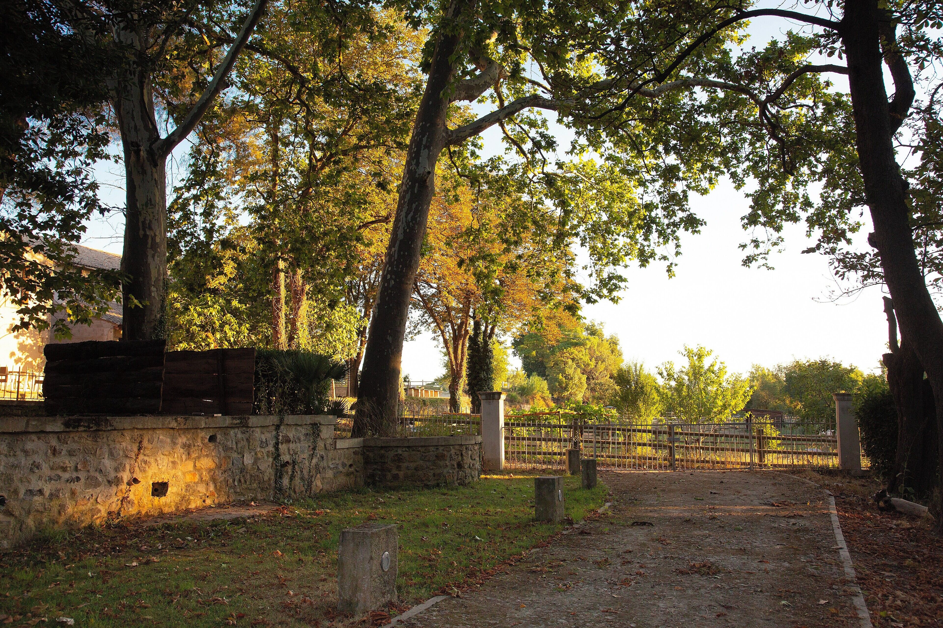 Foto - Hôtel Domaine de Biar