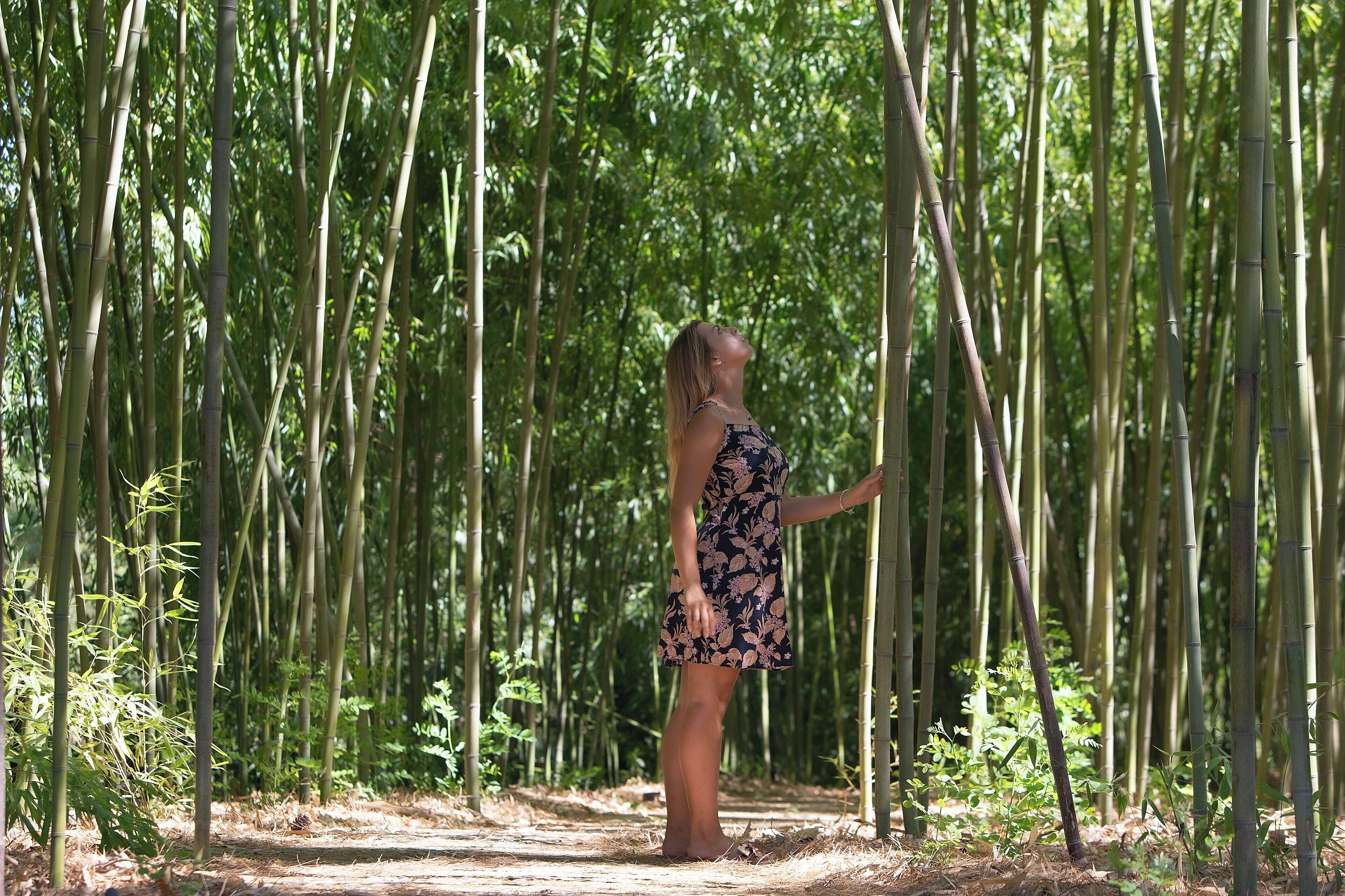 Foto - Hôtel Domaine de Biar