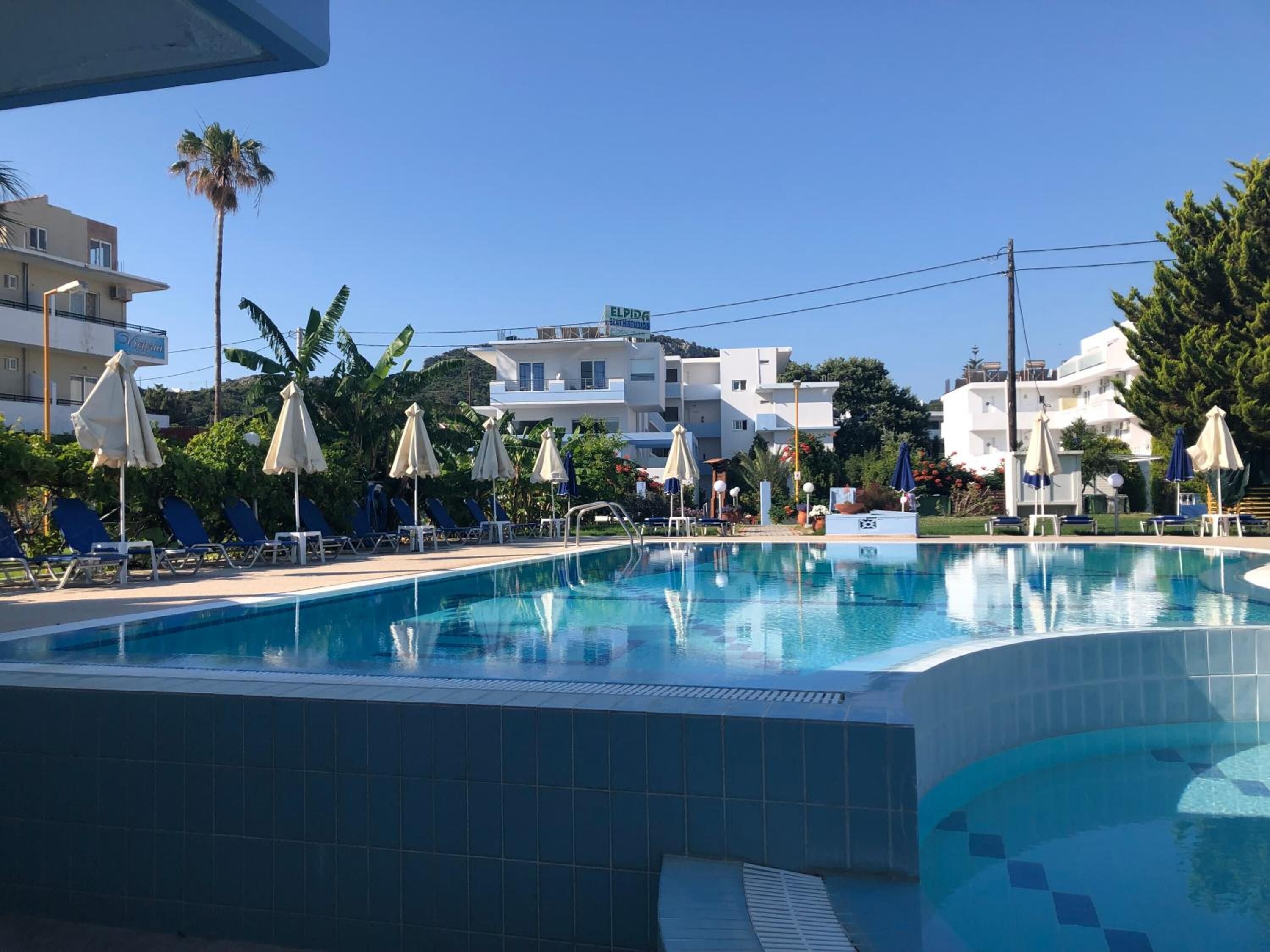 A swimming pool with lounge chairs and umbrellas, surrounded by buildings and palm trees.