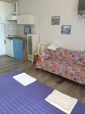 A room with a bed, a sofa, a small kitchenette, and a TV.