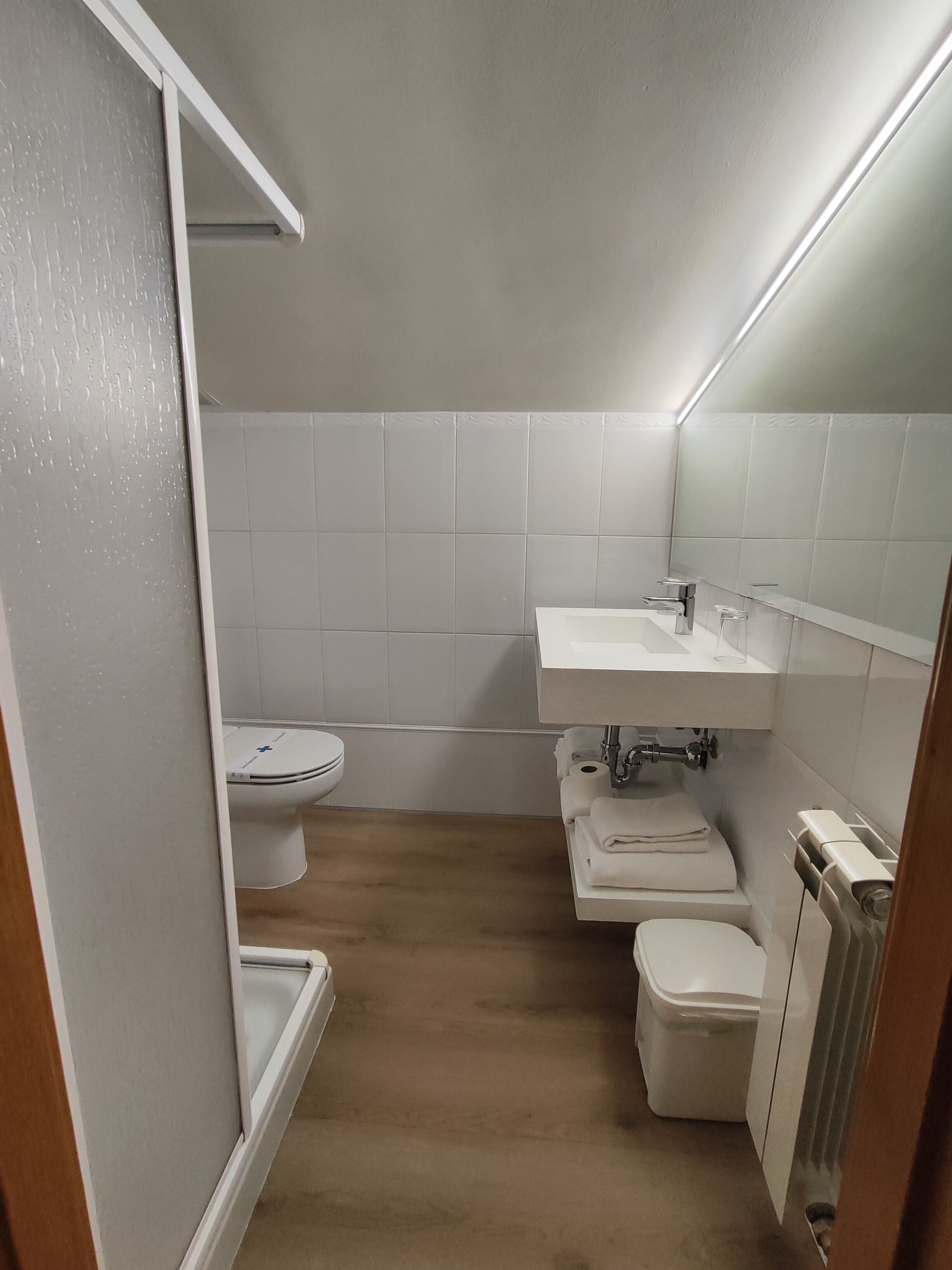 Een kleine badkamer met toilet, wastafel en douchehoek.
