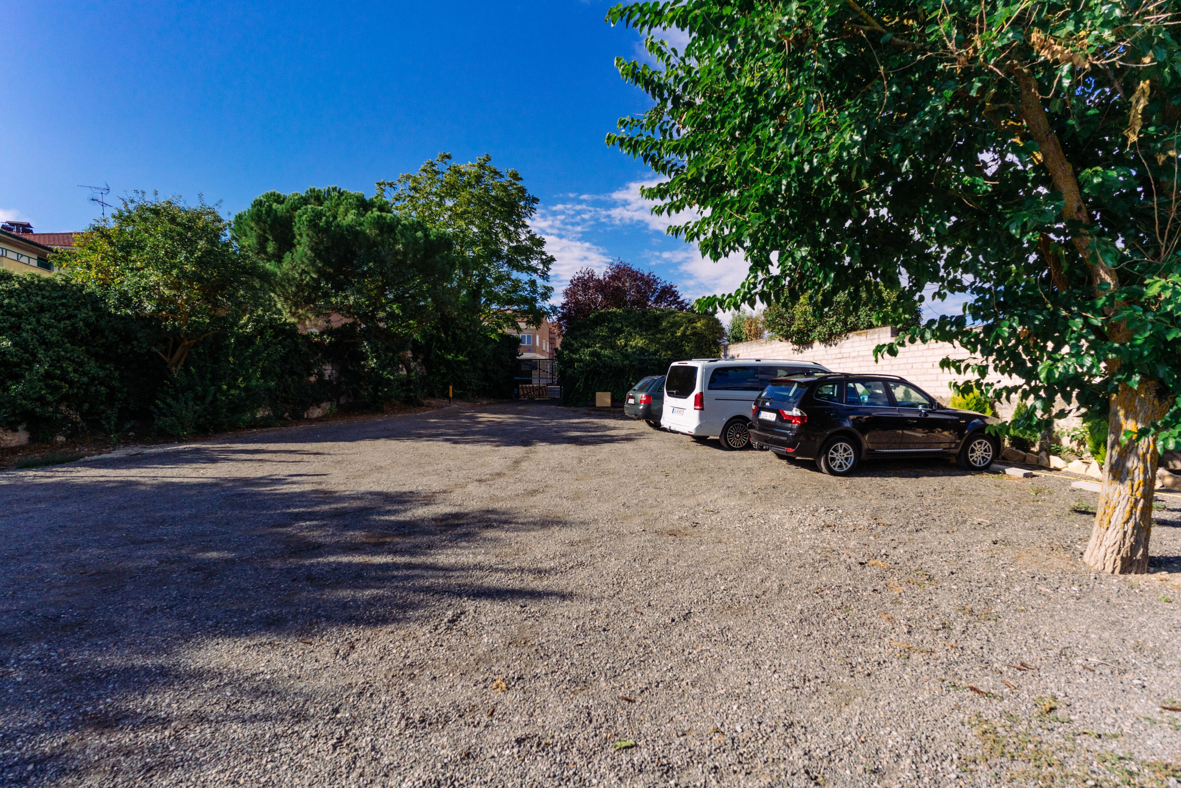 A gravel driveway with parked cars and a tree on the right.