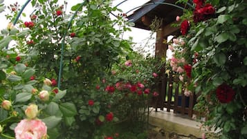 Jardín
