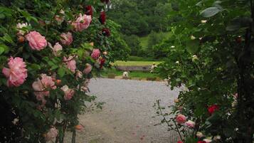 Ein Gartenweg, gesäumt von rosafarbenen Rosen, führt zu einem Kiesplatz, wo ein Hund zu sehen ist.