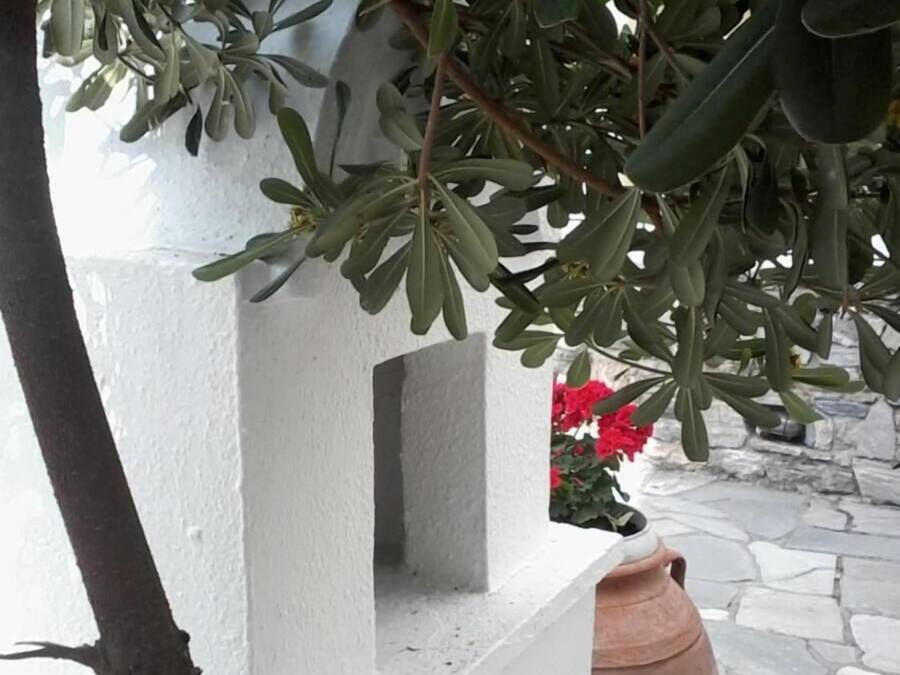 Una estructura blanca con una planta en maceta y una gran maceta de terracota sobre una zona empedrada.