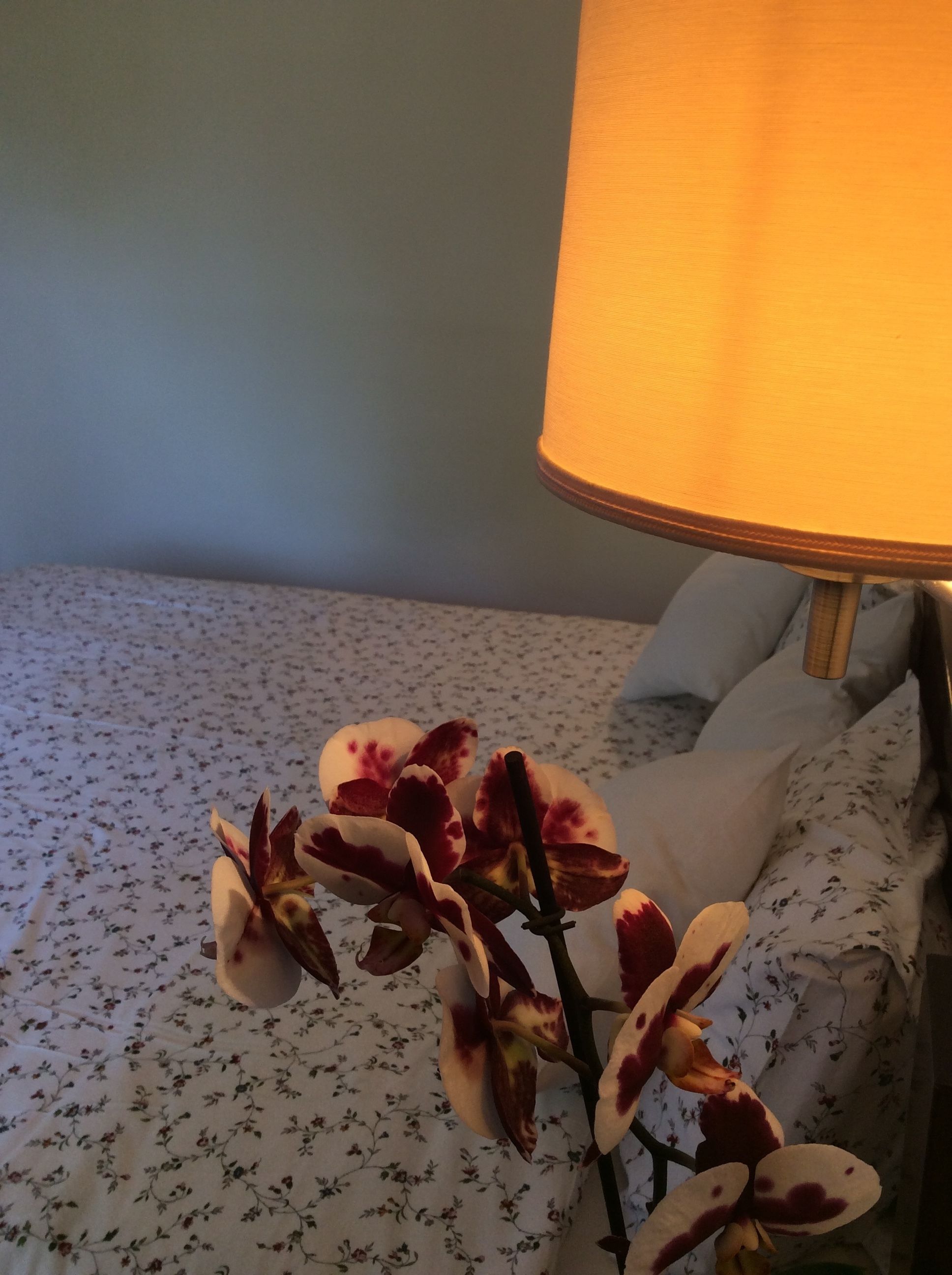 Un lit avec une literie à motifs floraux, une lampe et une plante orchidée.