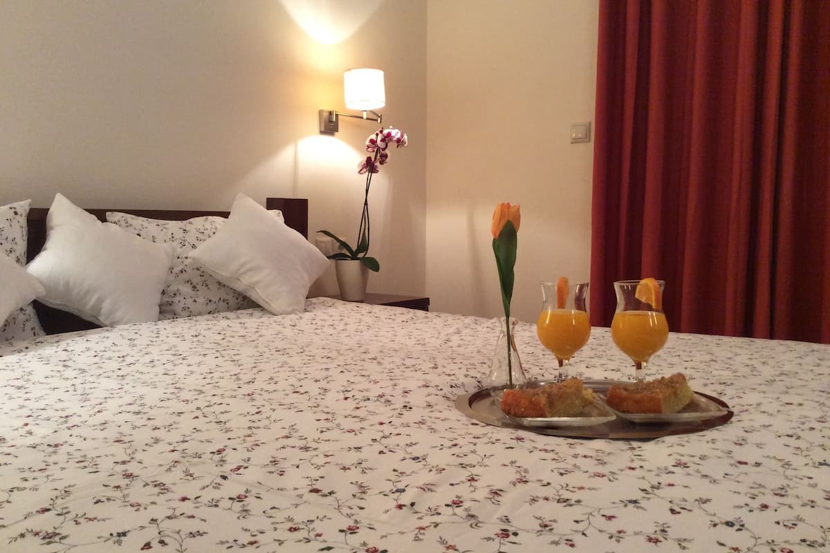 Camera con letto matrimoniale o 2 letti singoli | Una cassaforte in camera, Wi-Fi gratuito