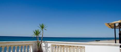 A balcony with a view of the sea, a potted plant, and a bench.