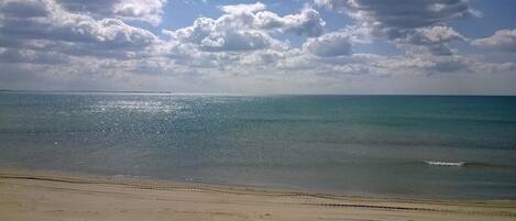 A beach with a clear sky and calm sea.