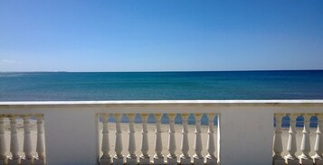 Vista desde la propiedad