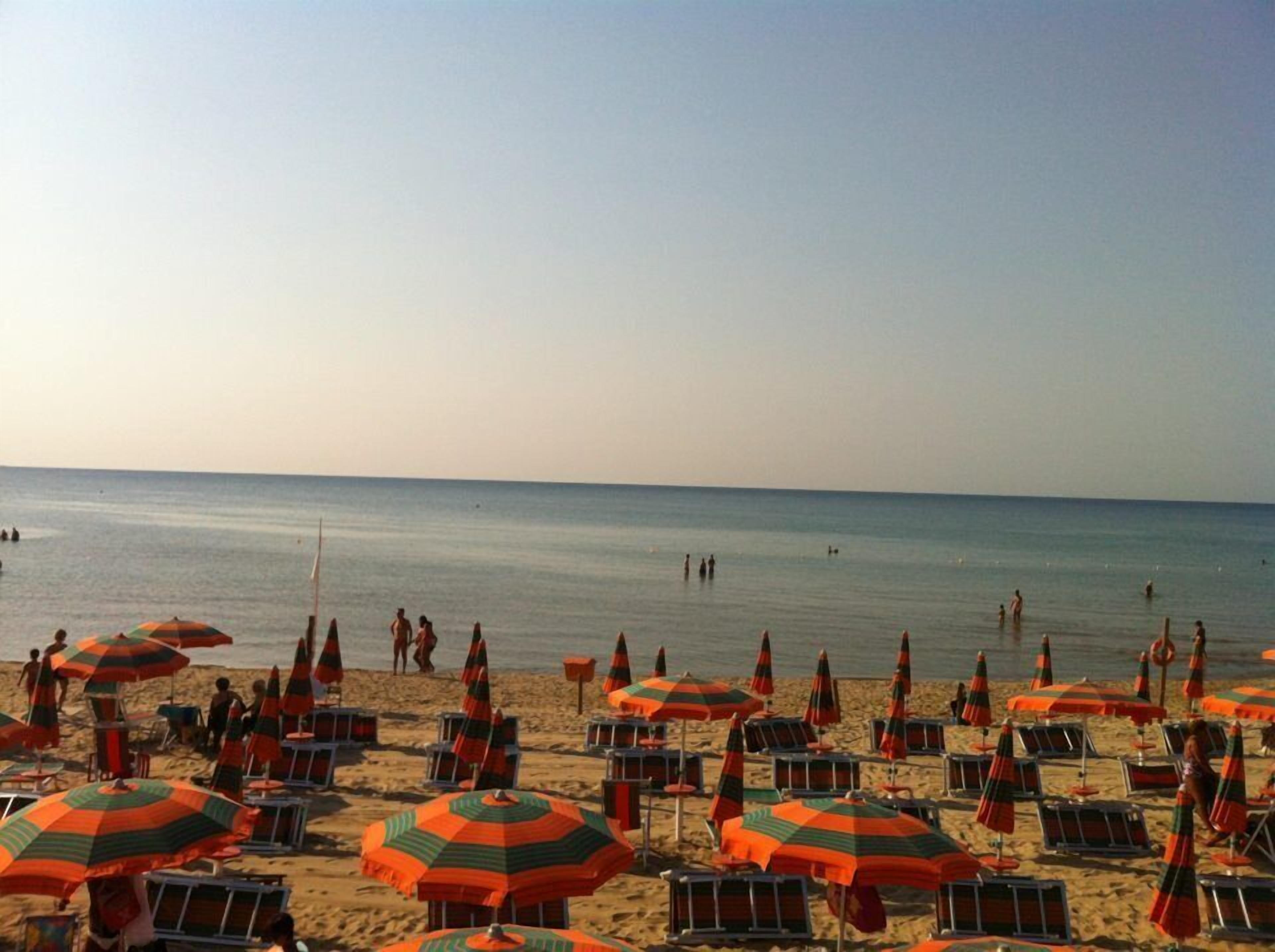 A beach with rows of beach chairs and umbrellas, a clear sky, and calm sea.