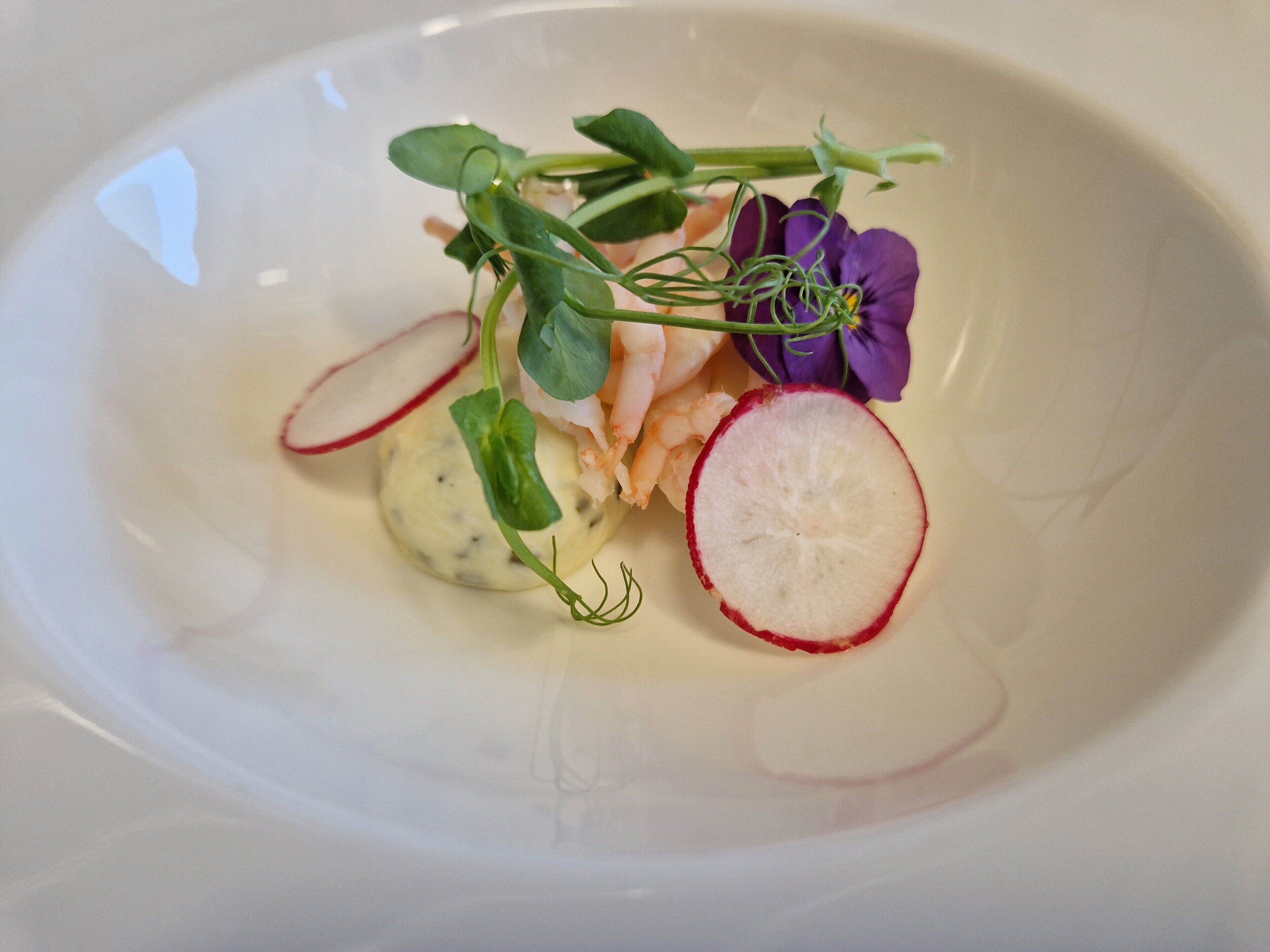 Un plato blanco con una sustancia cremosa, rodajas de rábano y una flor morada.