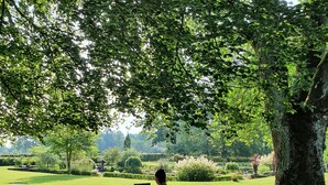 Une personne assise sur un banc, à l’ombre d’un arbre, dans un parc.