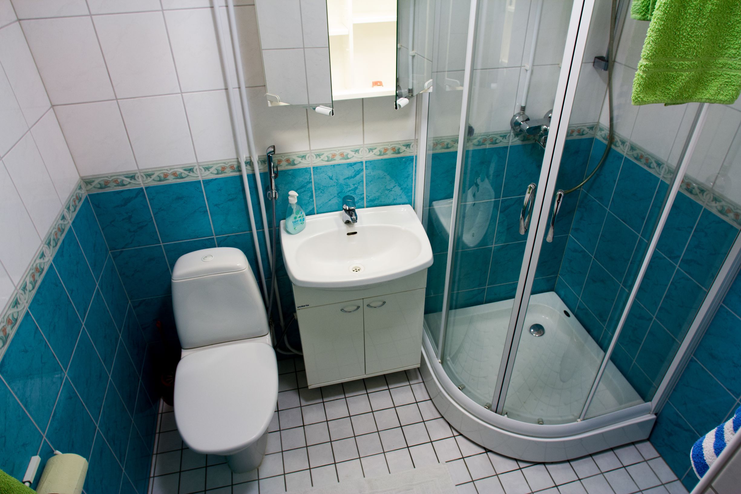 design apartment, 1 bedroom, garden view | bathroom | shower, eco-friendly toiletries, hair dryer, towels