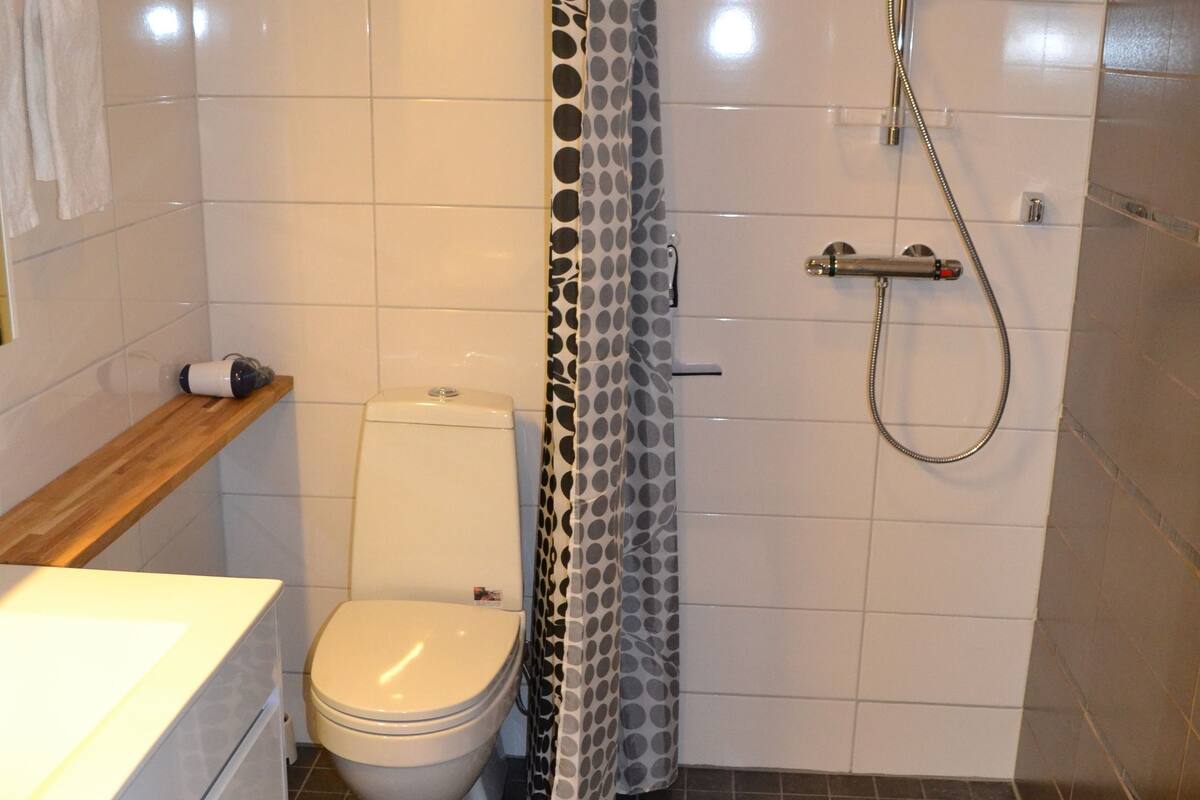 basic studio | bathroom | shower, eco-friendly toiletries, hair dryer, towels