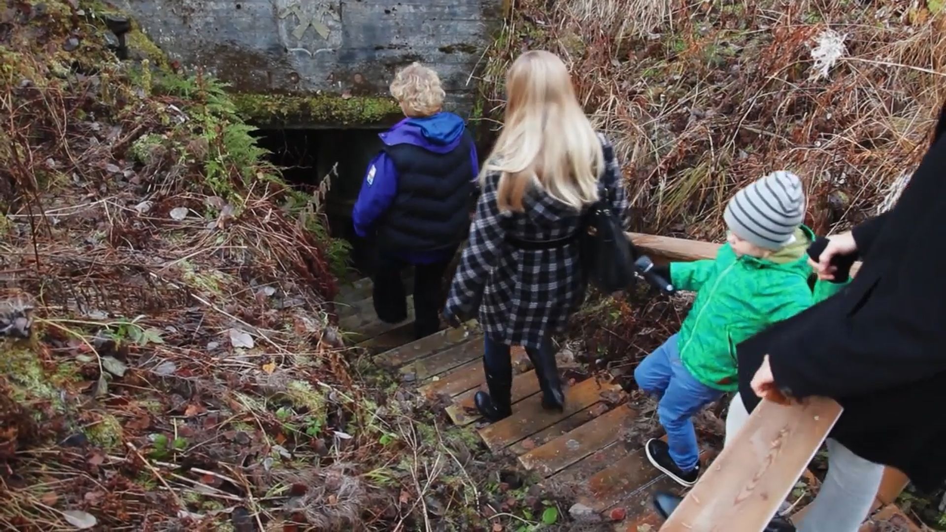 A group of people walking on a wooden staircase surrounded by natural vegetation.