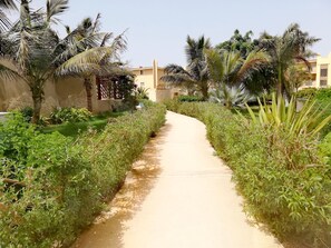 Property grounds - Aparthotel Tropical (Sal)