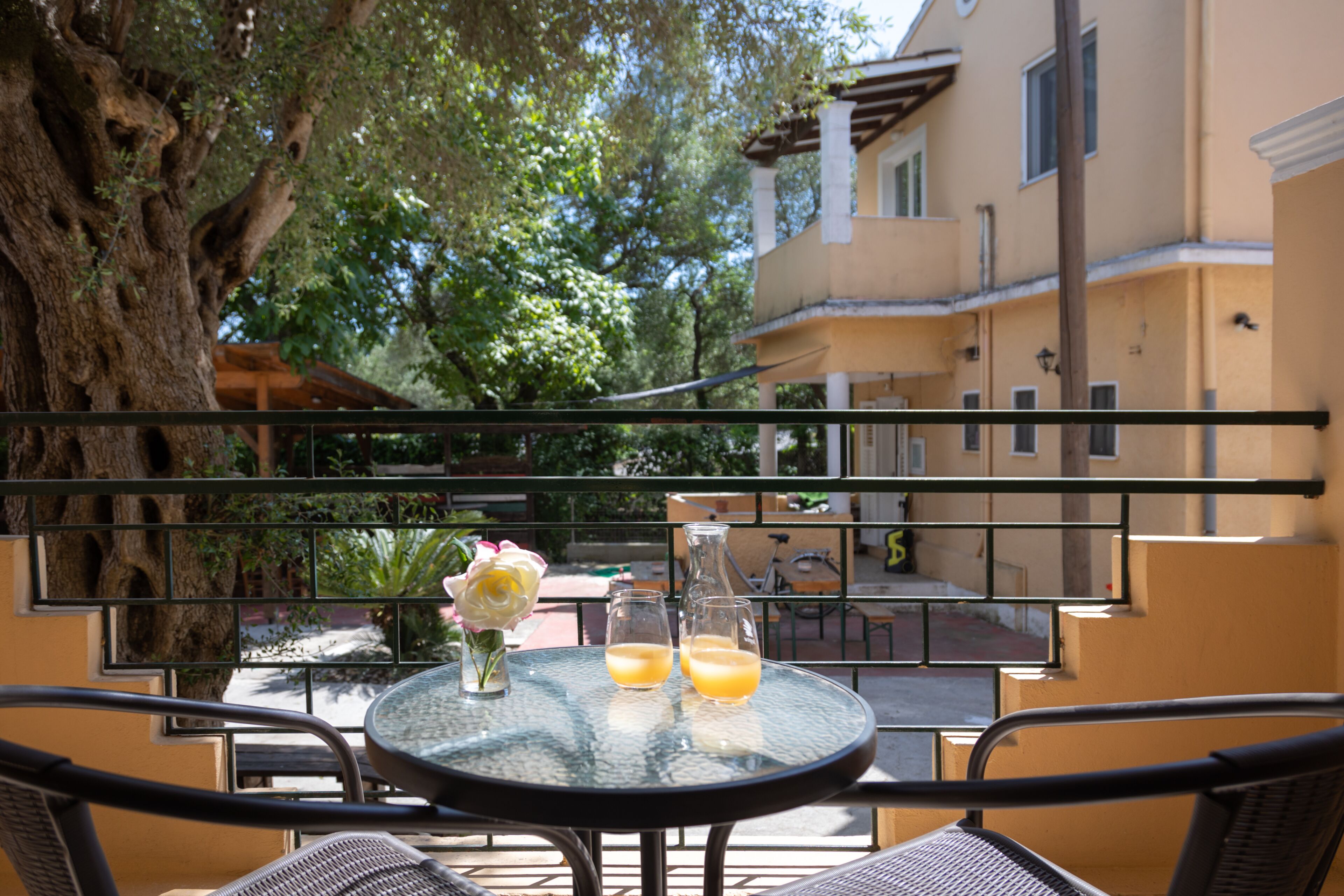 Economy Twin Room | Terrace/patio