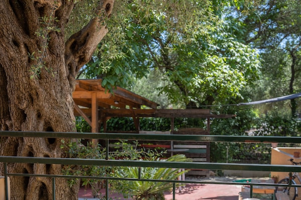 双人房或双床房 | 露台